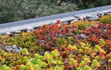 the cost of Cossall Marsh green roof installation