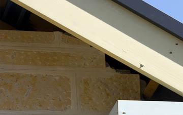 soffit repair Cossall Marsh