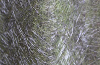 Cossall Marsh fibreglass roof work